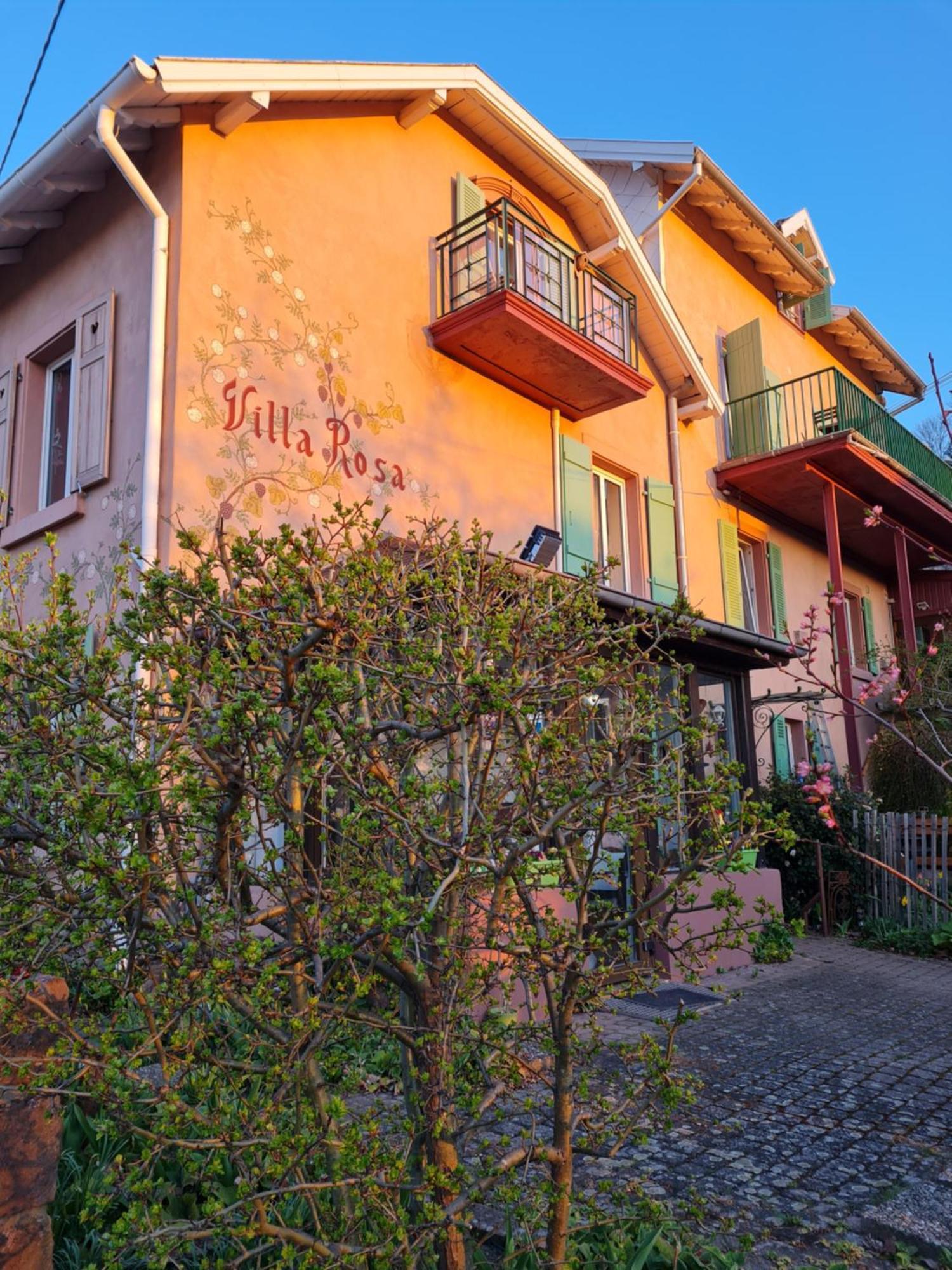 Villa Rosa Trois Epis المظهر الخارجي الصورة